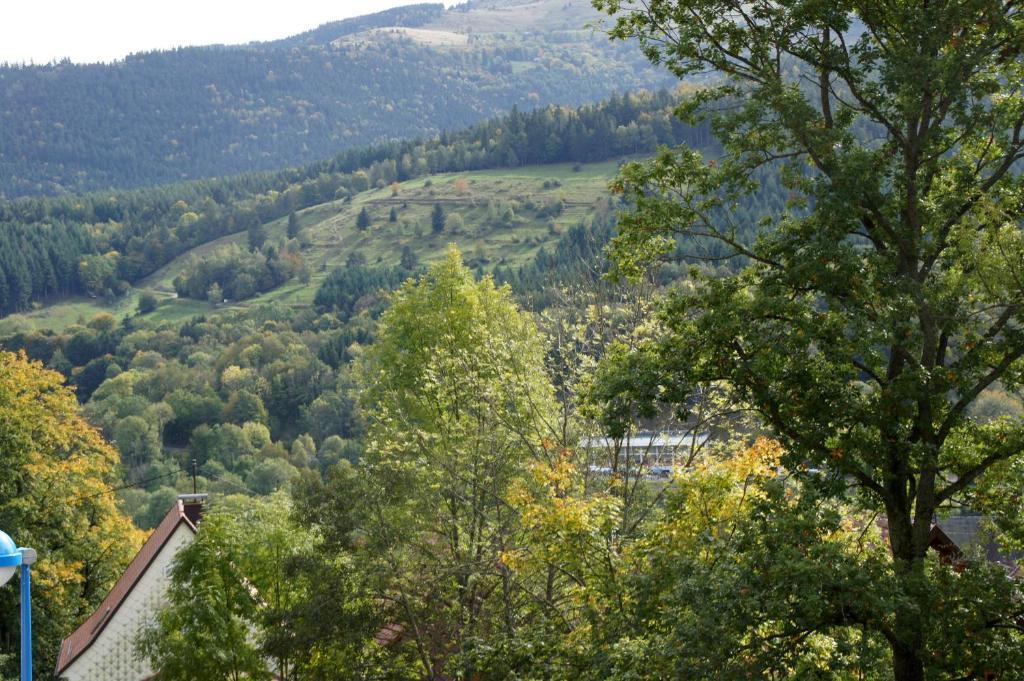 Hotel Restaurant Perle Des Vosges Muhlbach-sur-Munster Eksteriør billede